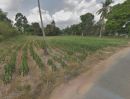 ขายที่ดิน - ขาย ที่ดิน แปลงสวย ทำเลดี ใกล้สวนอุตสาหกรรมโรจนะ ปราจีนบุรี ขนาด 4-2-85 ไร่