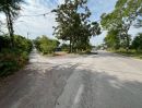 ขายที่ดิน - ขายที่ดินเปล่า ซอยท่ามะกอก หนองแค สระบุรี