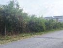 ขายที่ดิน - ขายถูก ที่ดินเปล่า ถมแล้ว แปลงหัวมุม รังสิต-นครนายก60