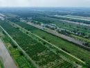 ขายที่ดิน - เปิดแปลงใหม่ 40 ไร่ สดๆร้อนๆ พิกัดคลอง 11 ( ฝั่งตะวันออก ) อำเภอหนองเสือ จังหวัดปทุมธานี