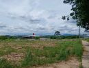 ขายที่ดิน - ขายที่ดินมาบยางพร ปลวกแดง ระยอง แปลงสวย ราคาดี