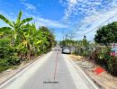 ขายที่ดิน - ขายที่ดินเปล่าไทรน้อย บางบัวทอง พื้นที่ 120 ตรว.หน้าแปลงติดถนนซอยฉัตรหลวง1,ฉัตรหลวง2 ขายแค่ 1 ล้านบาท ต่ำกว่าราคาประเมิน