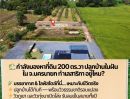 ขายที่ดิน - กำลังมองหาที่ดินปลูกบ้านในฝันอยู่ใช่ไหมคะ? ที่ดินแปลงสวย 200 ตร.วา ทำเลสาริกา นครนายก พร้อมสร้างบ้าน พร้อมอยู่ได้เลย