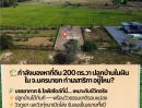 ขายที่ดิน - กำลังมองหาที่ดินปลูกบ้านในฝันอยู่ใช่ไหมคะ? ที่ดินแปลงสวย 200 ตร.วา ทำเลสาริกา นครนายก พร้อมสร้างบ้าน พร้อมอยู่ได้เลย