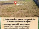 ขายที่ดิน - กำลังมองหาที่ดินปลูกบ้านในฝันอยู่ใช่ไหมคะ? ที่ดินแปลงสวย 200 ตร.วา ทำเลสาริกา นครนายก พร้อมสร้างบ้าน พร้อมอยู่ได้เลย