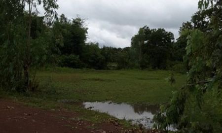 ขายที่ดิน - ขายที่ดิน 1 ไร่ บ้านหนองแวง ติดถนนซอย ห่างถนนทางหลวง ชนบท