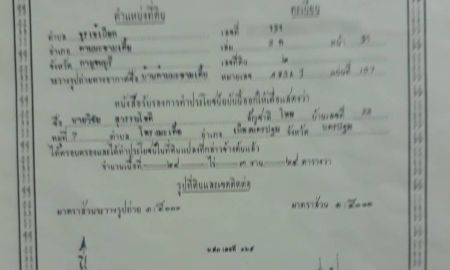 ขายที่ดิน - ขายที่ดิน 25 ไร่ น.ส.3ก