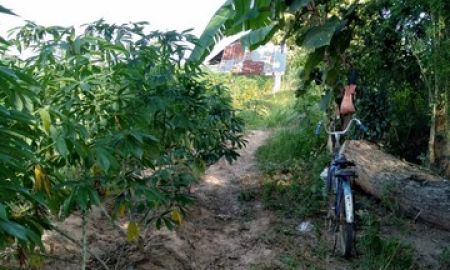 ขายที่ดิน - ขายที่ดิน 9 ไร่ ติดถนนภายในหมู่บ้าน บ้านหนองแวง ท่าพระ เมือง ขอนแก่น