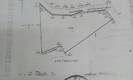 ขายที่ดิน - ขายที่ดิน 2 แปลง 54ไร่ 1งาน 40.6 ตรว. เทียนทะเล 30 ท่าข้าม