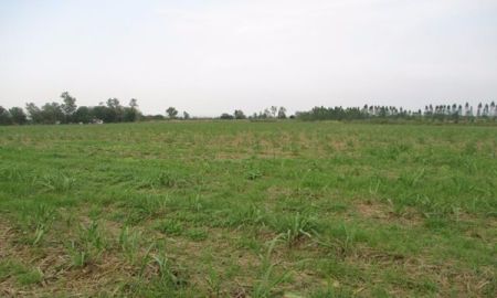 ขายที่ดิน - ขายที่ดินเปล่าทำการเกษตร 90 ไร่ 3 งาน นส.3 ก ด่านมะขามเตี้ย จ.กาญจนบุรี