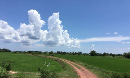 ขายที่ดิน - ที่ดินขายยกแปลงใกล้เมือง 25ไร่ คูบัว เมืองราชบุรี ราชบุรี
