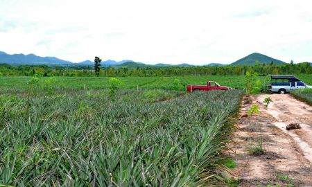 ขายที่ดิน - ขายที่ดิน 20 ไร่ สวนผึ้ง ราชบุรี ไร่ละ 350,000 ติดทางสาธารณะ หน้ากว้าง 80 เมตร