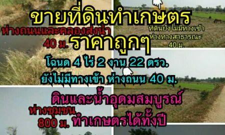 ขายที่ดิน - ขายที่ดินสำหรับทำการเกษตร บรรยากาศดี ดิน น้ำ อุดมสมบูรณ์ ใกล้สถานที่ราชการหลายแห่ง อ.เฉลิมพระเกียรติ จ.นครราชสีมา