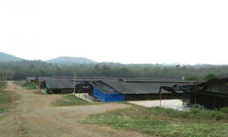 ขายที่ดิน - ขายฟาร์มไก่ ขายที่ดินมวกเหล็กใกล้มหาวิทยาลัยเอเซียแปซิฟิก(มิชชั่น) Muak Lek Land For Sale, Chicken Farm