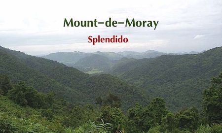 ขายที่ดิน - แบ่งขายที่ดินสวยพัฒนาอย่างดี Mount-de-Moray บนที่เนินเขาสูงกว่า 450 เมตร (ระดับน้ำทะเล) แบ่งขายเหลือเพียง 2 แปลงเท่านั้น