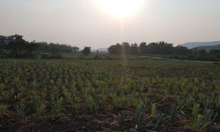 ขายที่ดิน - ขายที่ดิน ติดถนน ใกล้สวนผึ้ง ราชบุรี 380 ไร่ พร้อมสิ่งปลูกสร้าง ถูกมาก