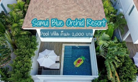 ให้เช่าอพาร์ทเม้นท์ / โรงแรม - Samui Blue Orchid: Special Promotion for monthly stay!