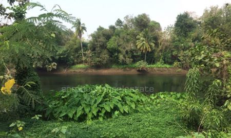 ขายที่ดิน - แบ่งขายที่ดินติดแม่น้ำแควใหญ่ ราคาถูก อ.เมืองกาญจนบุรี