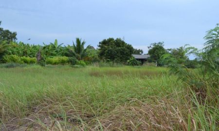 ขายที่ดิน - ขายที่ดินจัดสรร ที่ถมแล้ว 200.3 ตร.วา ใกล้แนวถนนวงแหวนรอบ3 จังหวัดสระบุรี เหมาะกับการลงทุน