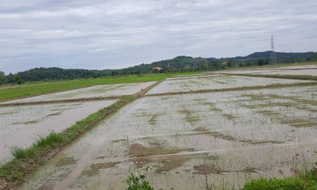 ขายที่ดิน - ขายถูกที่ดินติดถนน4เลน แม่จัน-เชียงแสน ตำบลจอมสวรรค์ อำเภอแม่จัน จังหวัดเชียงราย