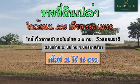 ขายที่ดิน - ถูกสุดในย่านนี้ #ขายที่ดินโนนไทย ทำเลดี #ใกล้ถนน 205 เพียง 650 เมตร #วิวธรรมชาติ อากาศดี