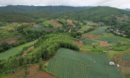 ขายที่ดิน - ขายที่ดินเนินดอยสะสาบสะเมิง วิวภูเขาโฉนดพร้อมโอน ราคาถูก