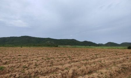 ขายที่ดิน - ขายที่ดิน กาญจนบุรี 100 ไร่ ติดถนนลาดยาง เหมาะทำการเกษตร ใกล้แหล่งน้ำ