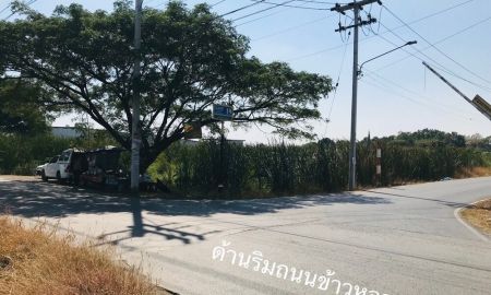 ขายที่ดิน - ขายที่ดินเปล่า 1 ไร่ ซอยบงกช19 คลองสอง คลองหลวง ปทุมธานี ติดถนนข้าวหลาม