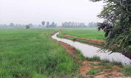 ขายที่ดิน - ขายที่ดินเหมาะทำการเกษตร มีน้ำตลอดปี บ้านโพธิ์ เมืองสุพรรณ