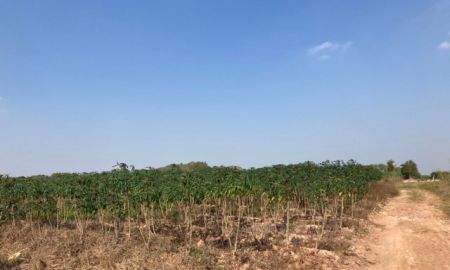 ขายที่ดิน - ขายที่ดิน ด่านมะขามเตี้ย กาญจนบุรี 32 ไร่ ติดถนนดินถนนสาธารณะ 2 ด้าน เหมาะ ทำสวน-ทำไร่ ทำการเกษตร