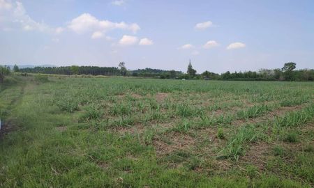 ขายที่ดิน - ขายที่ดิน 39ไร่ จอมบึง ราชบุรี เหมาะสำหรับทำการเกษตร หรือ ทำโครงการจัดสรรพื้นที่