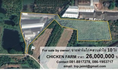 ขายที่ดิน - ขายฟาร์มไก่ ตำบลบ้านกลาง อำเภอสันป่าตอง จังหวัด​เชียงใหม่ (POULTRY (CHICKEN) FARM FOR SALE by owner)