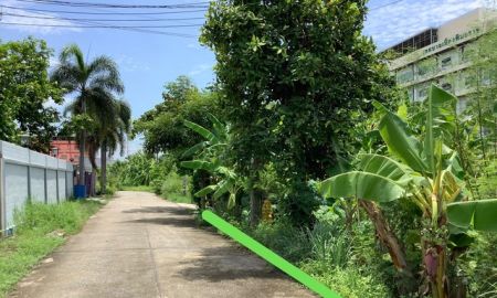 ขายที่ดิน - ขายที่ดินนนทบุรี156ตารางวา ถนนบ้านกล้วย-ไทรน้อย เพียง2.5กม.จากถนนกาญจนาภิเษก