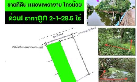 ขายที่ดิน - ขายที่ดิน บ้านคลองเจ้า-บ้านหนองพรายงาม ถ.ทางหลวงชลบท5027 ไทรน้อย นนทบุรี พื้นที่2-1-28.5ไร่ ใกล้ อบต.หนองพรายงาม ติดคลองสิบศอก เหมาะทำสวนเกษตร