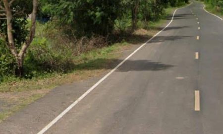 ขายที่ดิน - ที่นาแปลงสวย ใกล้ถนนลาดยางร้อยเมตร รถยนต์เข้าได้ อ.เมืองบุรีรัมย์