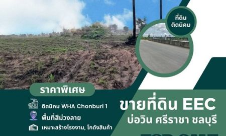 ขายที่ดิน - ขายด่วน ที่ดินติดนิคม WHA Chonburi 1(บ่อวิน) เขต EEC ต.บ่อวิน อ.ศรีราชา จ.ชลบุรี เนื้อที่สีม่วง เหมาะสร้างโรงงาน ทำโกดัง