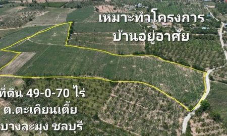 ขายที่ดิน - ที่ดิน 49-0-70 ไร่ ต.ตะเคียนเตี้ย บางละมุง ชลบุรี ใกล้เทศบาลตำบลตะเคียนเตี้ยประมาณ 1.9 กม. เหมาะทำโครงการบ้านอยู่อาศัย ขายไร่ละ 2 ล้าน