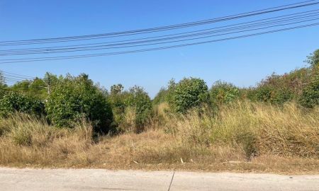 ขายที่ดิน - ขายที่ดินแปลงสวย ติดทางสาธารณะ เขตหนองบอนแดง บ้านบึง ชลบุรี