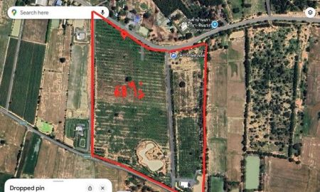 ขายที่ดิน - ขายที่ดินทำเลดี แปลงสวย ติดถนน 3 ด้าน พร้อมสวนไผ่ และ สวนป่า พร้อมบ้านพัก เจ้าของขายเอง ตำบลสระกระโจม อำเภอดอนเจดีย์ จังหวัดสุพรรณบุรี