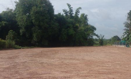 ขายที่ดิน - ขายที่ดินหนองยาวถมแล้ว 391 ตรว. ติดถนนเส้นฉช3002 ใกล้ตลาดสดพนม-10กม. อ.พนมสารคาม ฉะเชิงเทรา