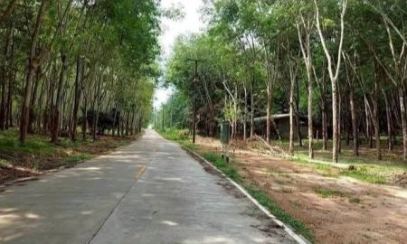 ขายที่ดิน - ขายที่ดินใกล้นิคมหลักชัย เมืองระยอง 155-1-83 ไร่ ผังสีม่วงลาย เหมาะทำนิคมอุตสาหกรรม โรงงาน โกดังสินค้า