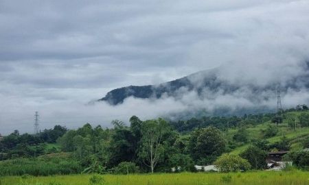 ขายที่ดิน - ขายด่วนที่ดินสวยเขาค้อ 5 ไร่ 32 ตร.วา ราคา 35 ล้านบาท วิวภูเขา ต.แคมป์สน อ.เขาค้อ จ.เพชรบูรณ์