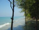 ขายที่ดิน - ขายที่ดินเปล่าติดหาด/Large Land Beachfront 48 Rais Tourism Source with Chanote Rayong