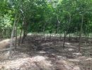 ขายที่ดิน - ที่ดิน ต้องการขายที่ดินมีโฉนดพร้อมสวนป่าสักและสวนยางทั้งหมด 40 ไร่ ราคา 150,000/ไร่