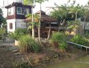 ขายบ้าน - ขาย บ้านเดี่ยวหนึ่งชั้น พร้อมสวนผลไม้ ในพื้นที่ขนาด 6 ไร่ อ.บ้านหมอ จ.สระบุรี