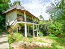 ขายบ้าน - Villa For Sale Chaweng Noi Koh Samui 2 Rai near Panyadee The British School in Samui