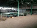 ขายโรงงาน / โกดัง - ขายโรงงานพื้นที่ 400 ตารางวา(1ไร่) ปลูกเต็มพื้นที่ มีห้องพักคนงาน10ห้อง