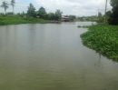 ขายที่ดิน - ขายที่ดินติดคลองพระอุดม ใกล้มหาวิทยาลัยหอการค้า ปากเกร็ด นนทบุรี