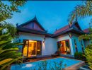 ขายอพาร์ทเม้นท์ / โรงแรม - โรงแรมทีวิลล่า ภูเก็ต T-VILLA Phuket hotel NOW FOR SALE