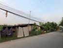 ขายที่ดิน - ขายที่ดินคลอง1 ธัญญบุรี 100 ไร่ ติดถนนใหญ่ กว้าง 100 เมตร ยาว 800 เมตร ติดหมู่บ้านพีโนรังสิต